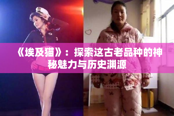 《埃及猫》：探索这古老品种的神秘魅力与历史渊源