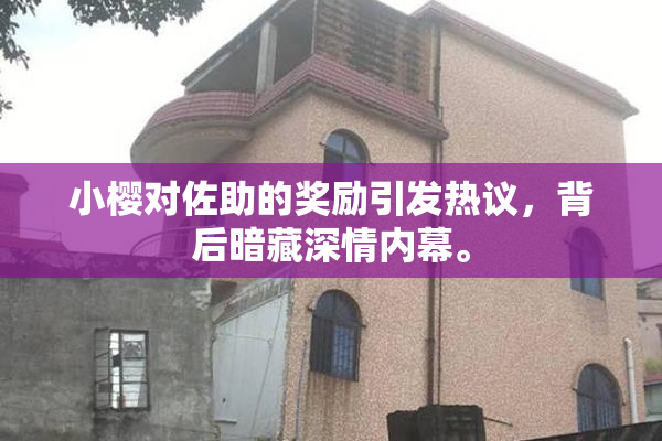 小樱对佐助的奖励引发热议，背后暗藏深情内幕。
