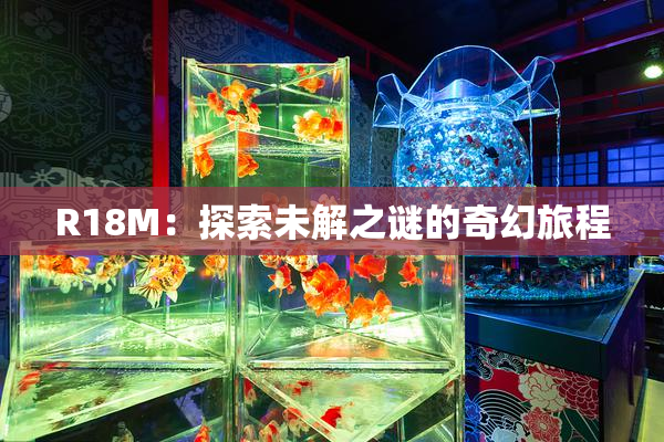 R18M：探索未解之谜的奇幻旅程