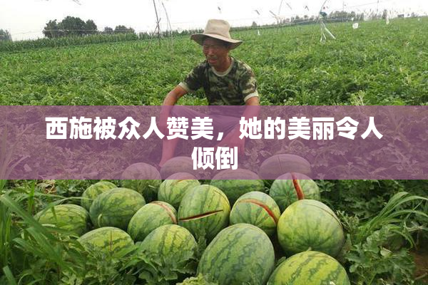 西施被众人赞美，她的美丽令人倾倒