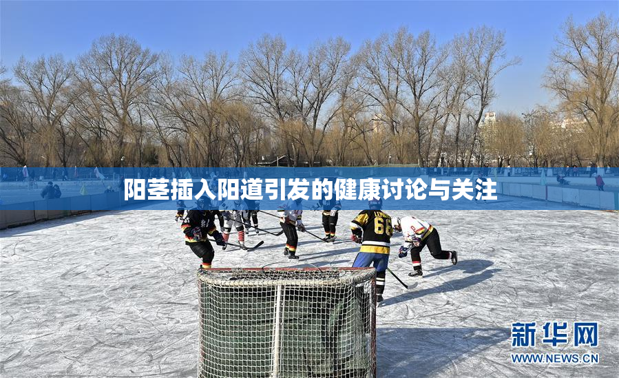 阳茎插入阳道引发的健康讨论与关注