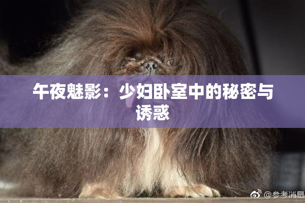 午夜魅影：少妇卧室中的秘密与诱惑