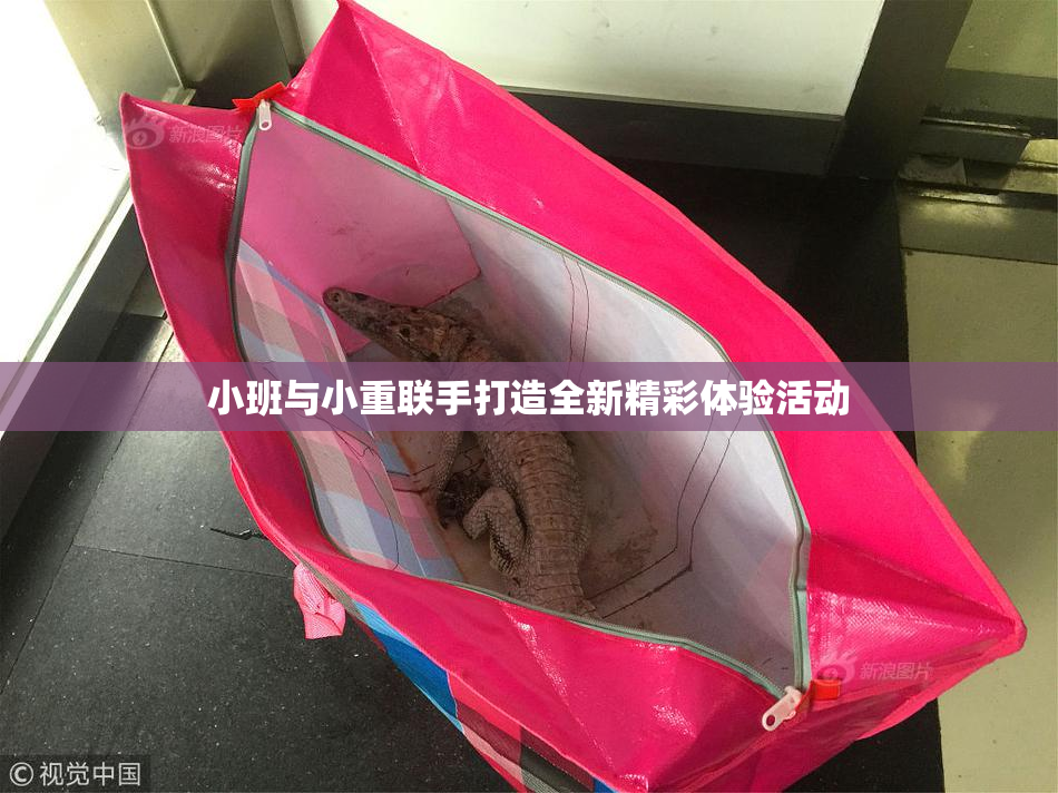 小班与小重联手打造全新精彩体验活动