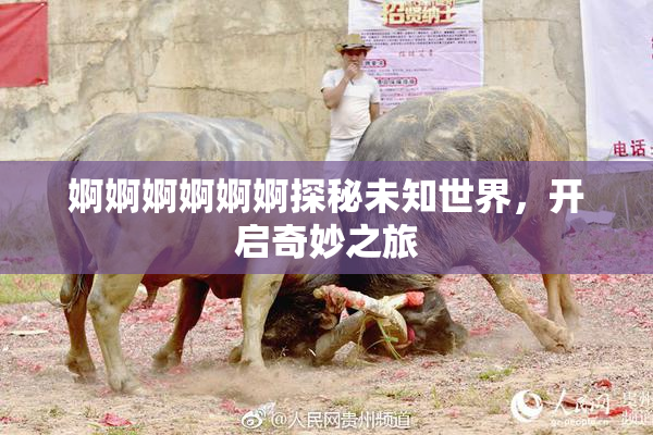 婀婀婀婀婀婀探秘未知世界，开启奇妙之旅
