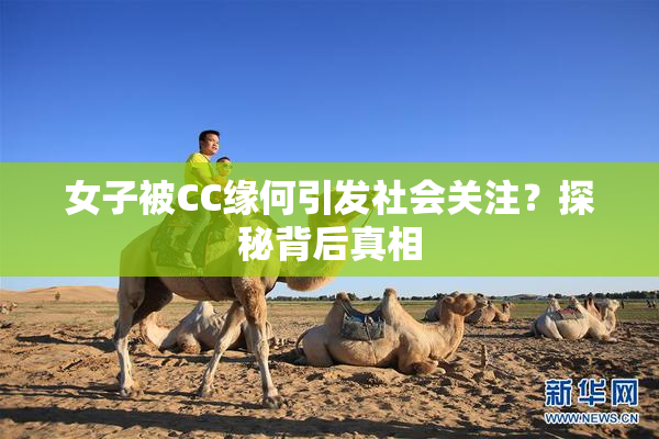 女子被CC缘何引发社会关注？探秘背后真相