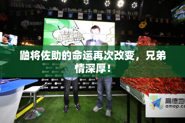 鼬将佐助的命运再次改变，兄弟情深厚！