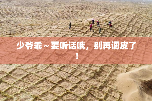 少爷乖～要听话哦，别再调皮了！