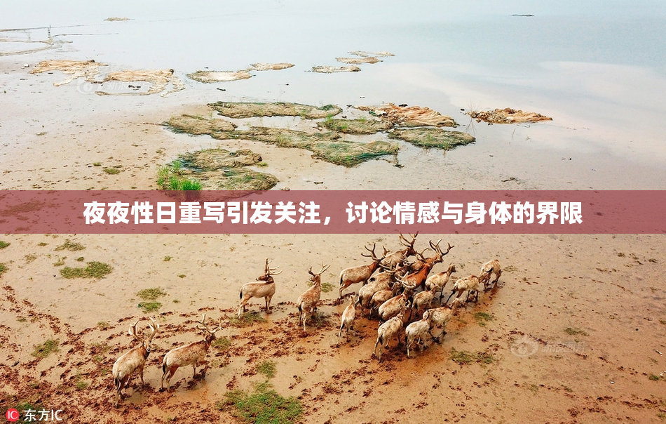 夜夜性日重写引发关注，讨论情感与身体的界限
