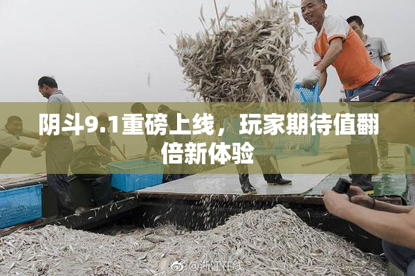 阴斗9.1重磅上线，玩家期待值翻倍新体验