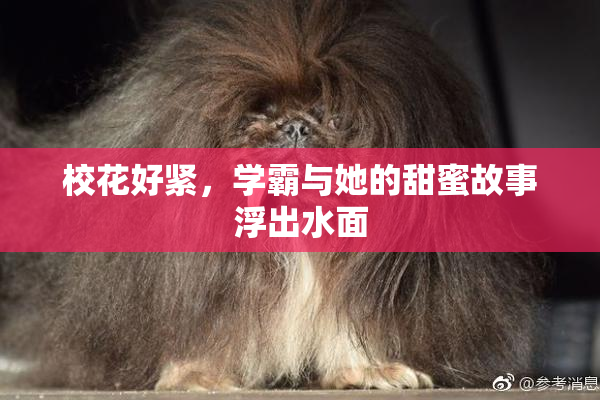 校花好紧，学霸与她的甜蜜故事浮出水面