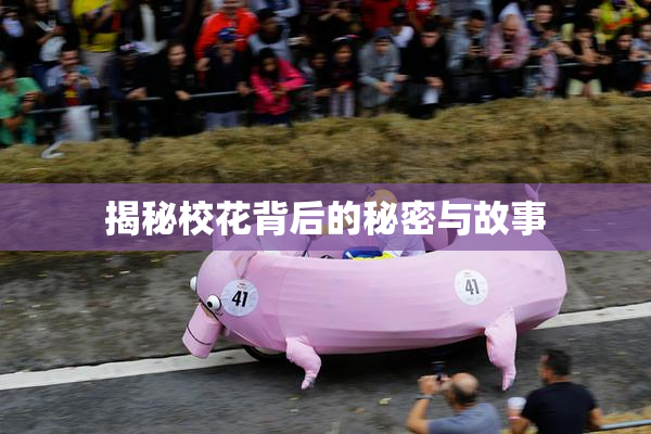 揭秘校花背后的秘密与故事