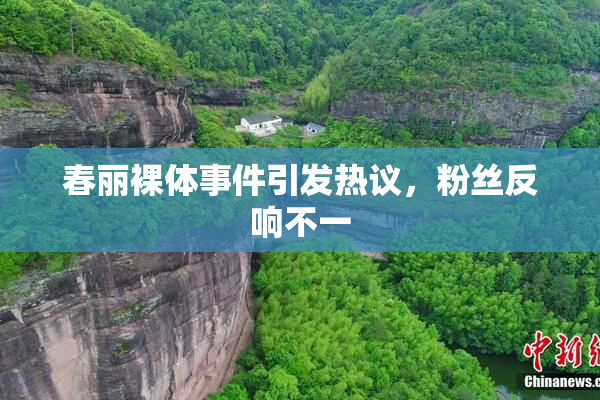春丽裸体事件引发热议，粉丝反响不一