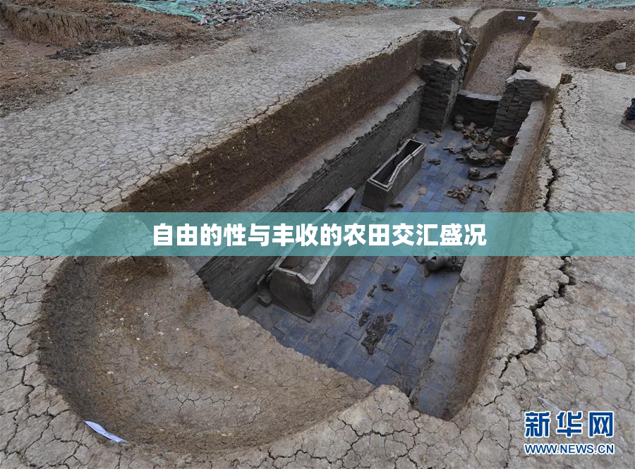 自由的性与丰收的农田交汇盛况