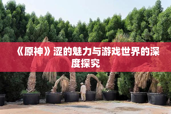 《原神》涩的魅力与游戏世界的深度探究