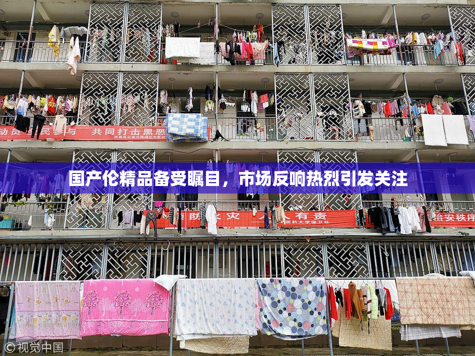 国产伦精品备受瞩目，市场反响热烈引发关注