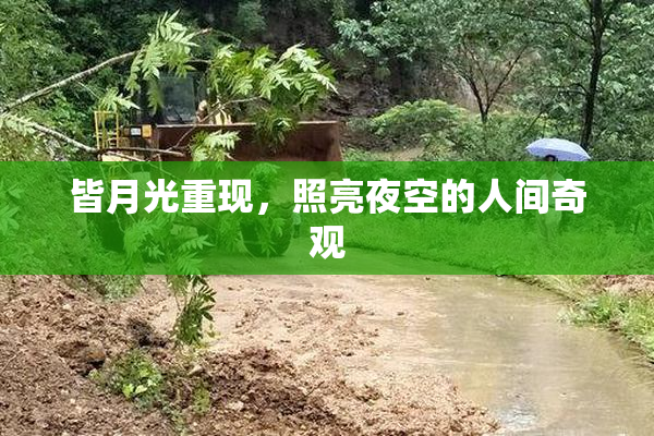 皆月光重现，照亮夜空的人间奇观