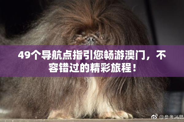 49个导航点指引您畅游澳门，不容错过的精彩旅程！