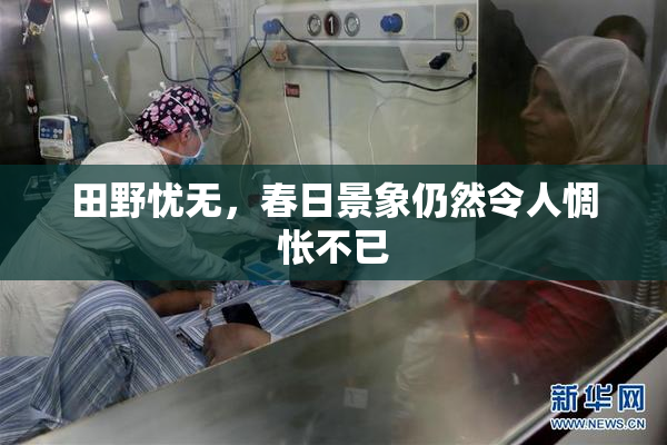 田野忧无，春日景象仍然令人惆怅不已
