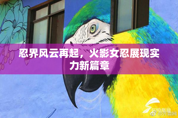 忍界风云再起，火影女忍展现实力新篇章
