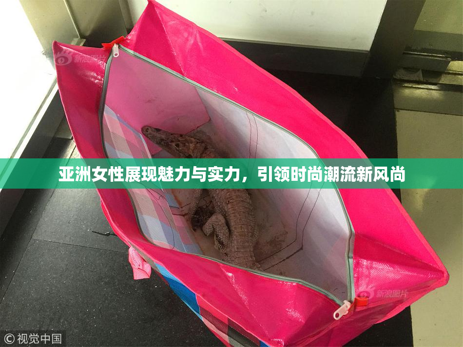 亚洲女性展现魅力与实力，引领时尚潮流新风尚