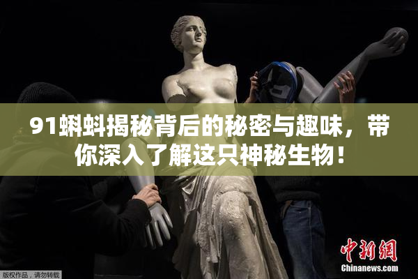 91蝌蚪揭秘背后的秘密与趣味，带你深入了解这只神秘生物！