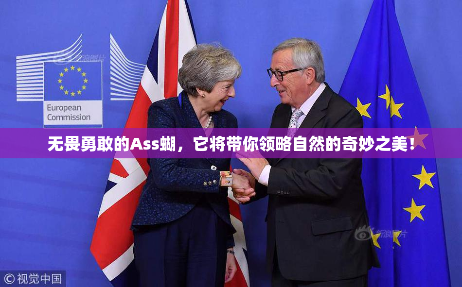 无畏勇敢的Ass蝴，它将带你领略自然的奇妙之美！