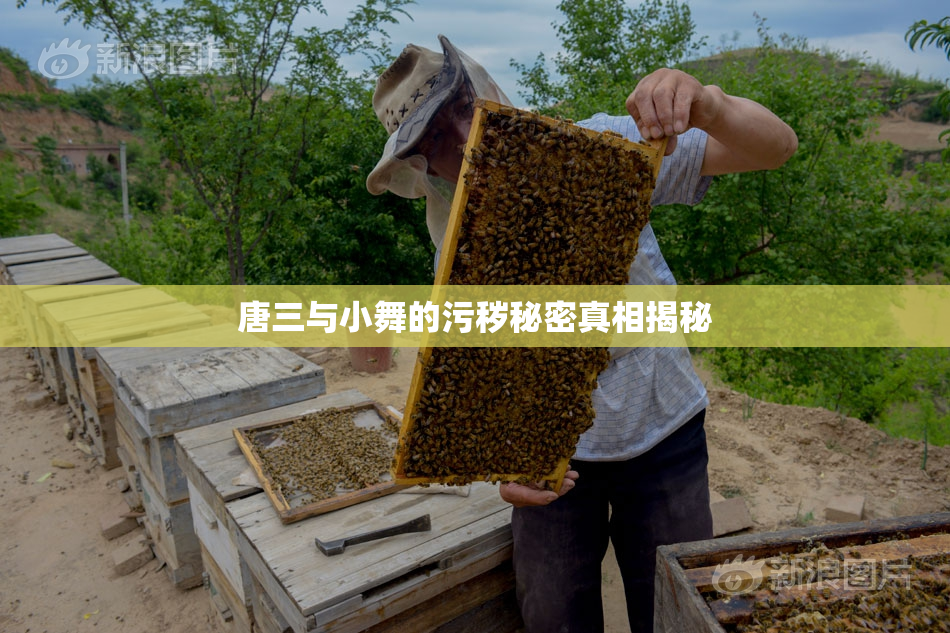 唐三与小舞的污秽秘密真相揭秘