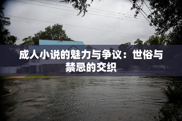 成人小说的魅力与争议：世俗与禁忌的交织