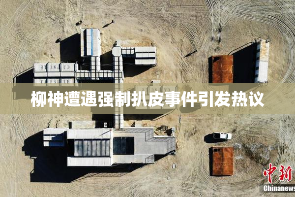 柳神遭遇强制扒皮事件引发热议