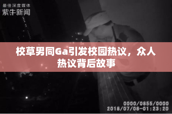 校草男同Ga引发校园热议，众人热议背后故事