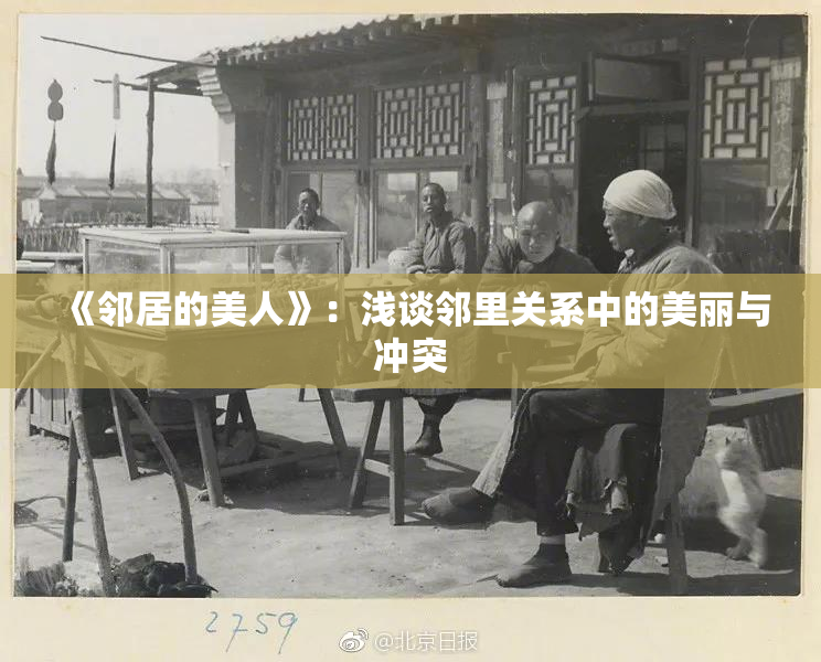 《邻居的美人》：浅谈邻里关系中的美丽与冲突
