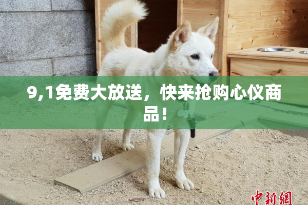 9,1免费大放送，快来抢购心仪商品！