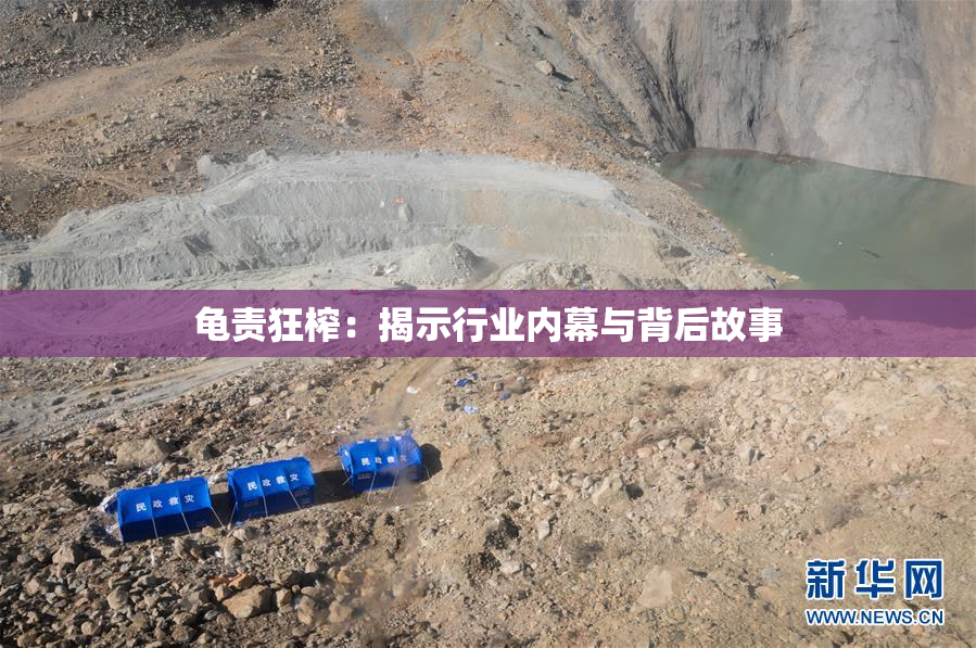 龟责狂榨：揭示行业内幕与背后故事