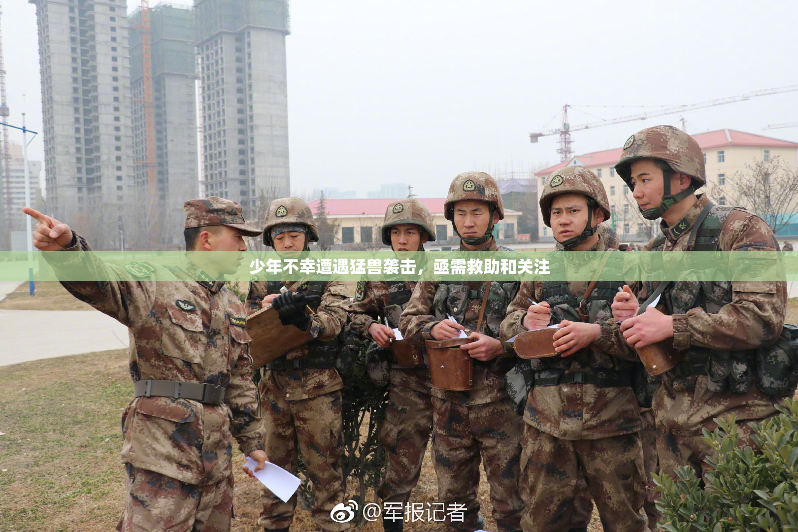 少年不幸遭遇猛兽袭击，亟需救助和关注