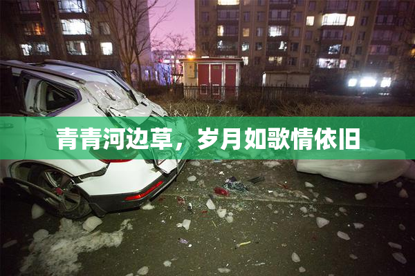 青青河边草，岁月如歌情依旧