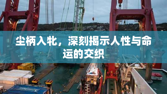尘柄入牝，深刻揭示人性与命运的交织