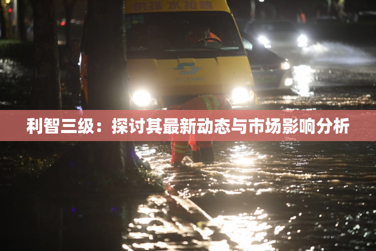 利智三级：探讨其最新动态与市场影响分析