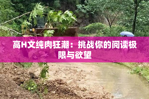 高H文纯肉狂潮：挑战你的阅读极限与欲望