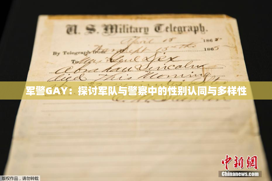 军警GAY：探讨军队与警察中的性别认同与多样性