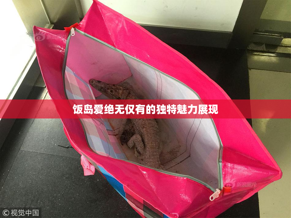 饭岛爱绝无仅有的独特魅力展现