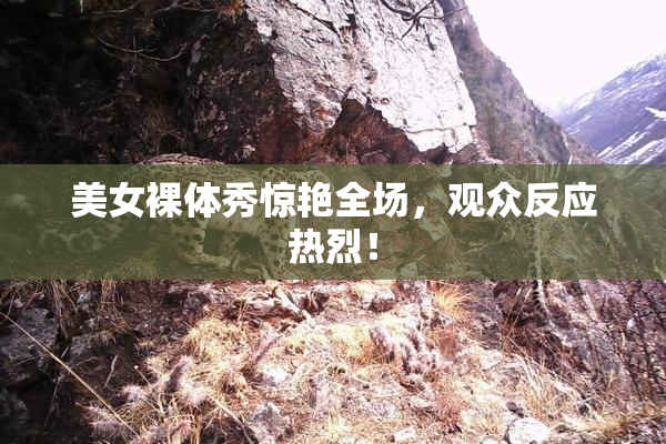 美女裸体秀惊艳全场，观众反应热烈！