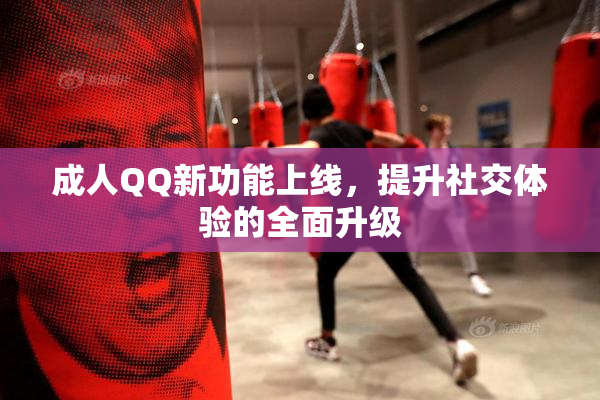 成人QQ新功能上线，提升社交体验的全面升级