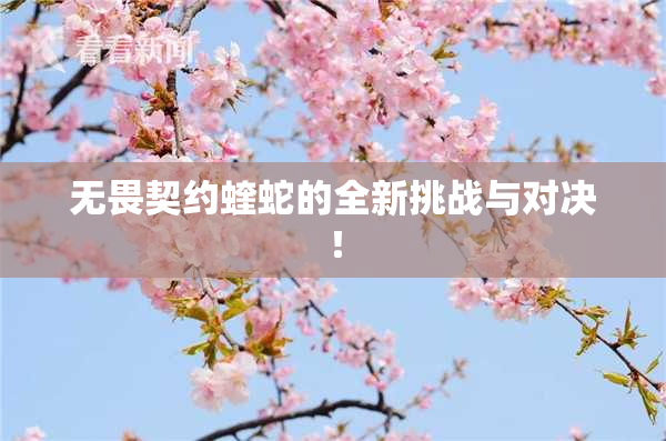 无畏契约蝰蛇的全新挑战与对决！