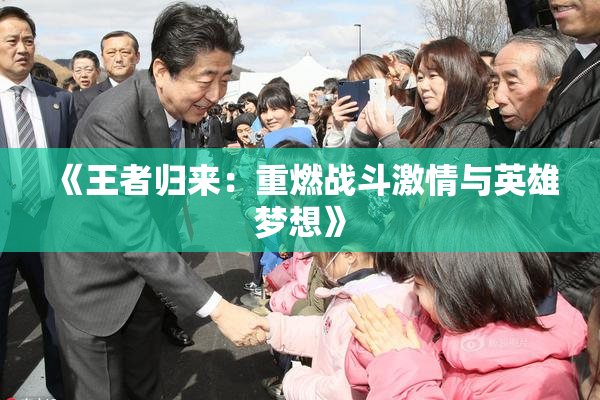 《王者归来：重燃战斗激情与英雄梦想》