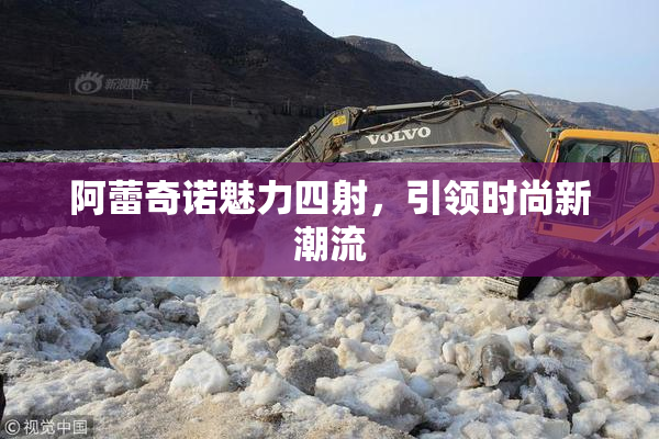 阿蕾奇诺魅力四射，引领时尚新潮流