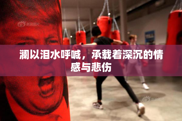 澜以泪水呼喊，承载着深沉的情感与悲伤