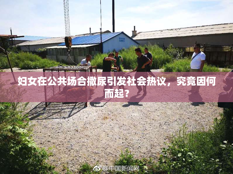 妇女在公共场合撒尿引发社会热议，究竟因何而起？