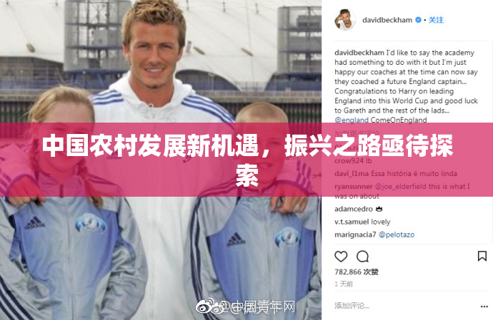 中国农村发展新机遇，振兴之路亟待探索