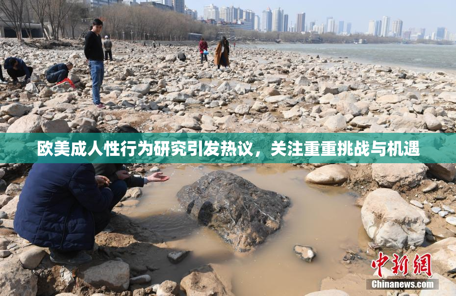 欧美成人性行为研究引发热议，关注重重挑战与机遇
