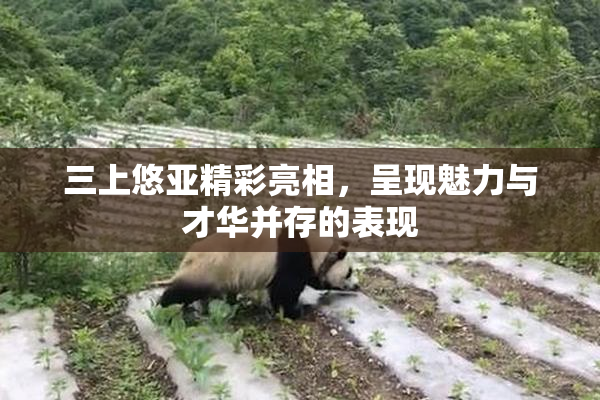 三上悠亚精彩亮相，呈现魅力与才华并存的表现